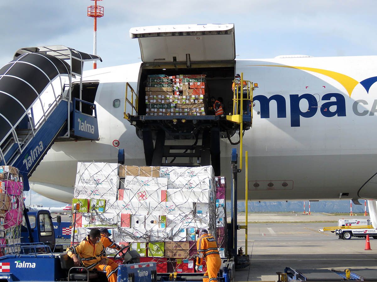 Latam Cargo Supports Valentine's Day Demand with Delivery of 12,600 Tons of  Flowers - Global Trade Magazine